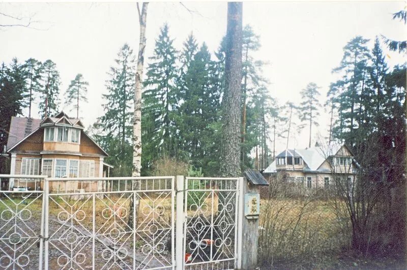 вырица урицкого