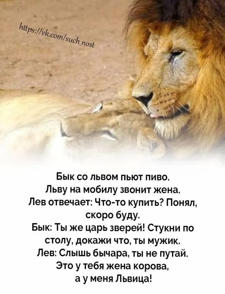 Лев будет твоим