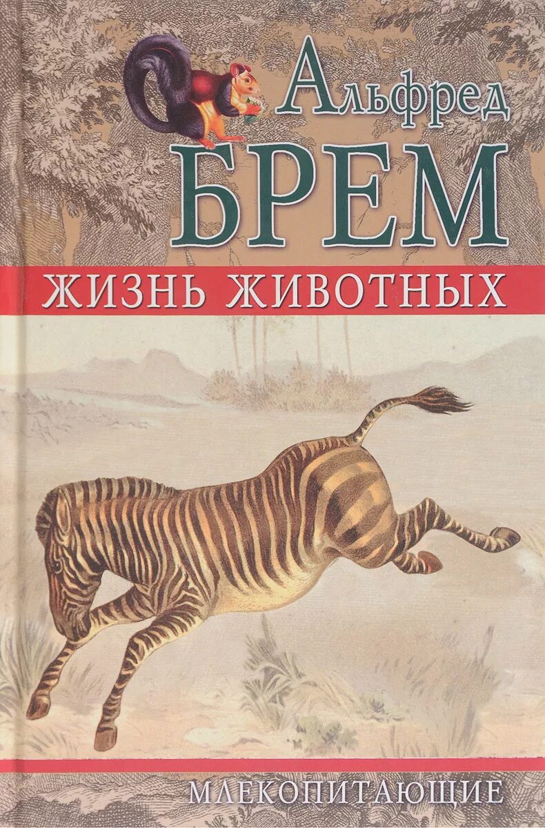 Жизнь животных том 5. Книга Брем жизнь животных.