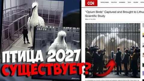 Птица из 2027 как называется
