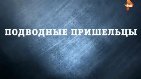 Дело рен