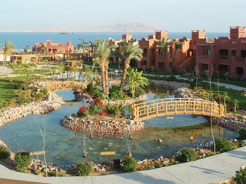 Charmillion life resort 4. Си лайф шарм-эль-шейх. сиа лайф египет шарм-эль-шейх. чармилион си лайф резорт шарм-эль-шейх 4. sea life шарм эль шейх.