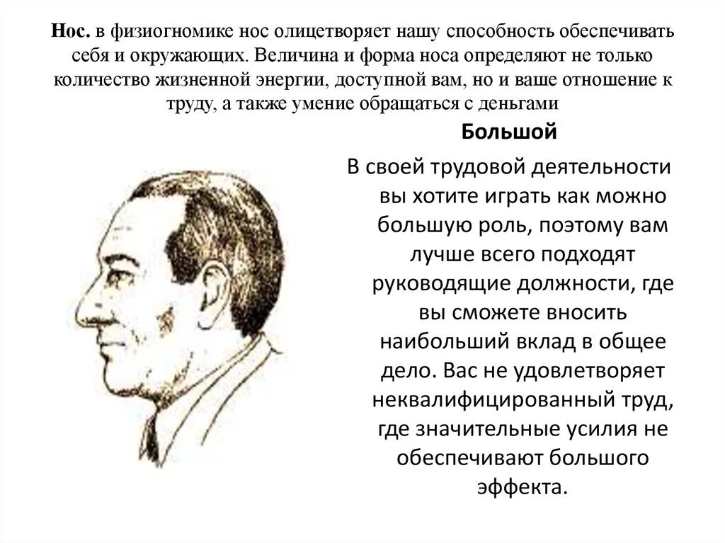 Лоб характер. Физиогномика. Физиогномика нос. Форма носа физиогномика. Нос человека физиогномика.