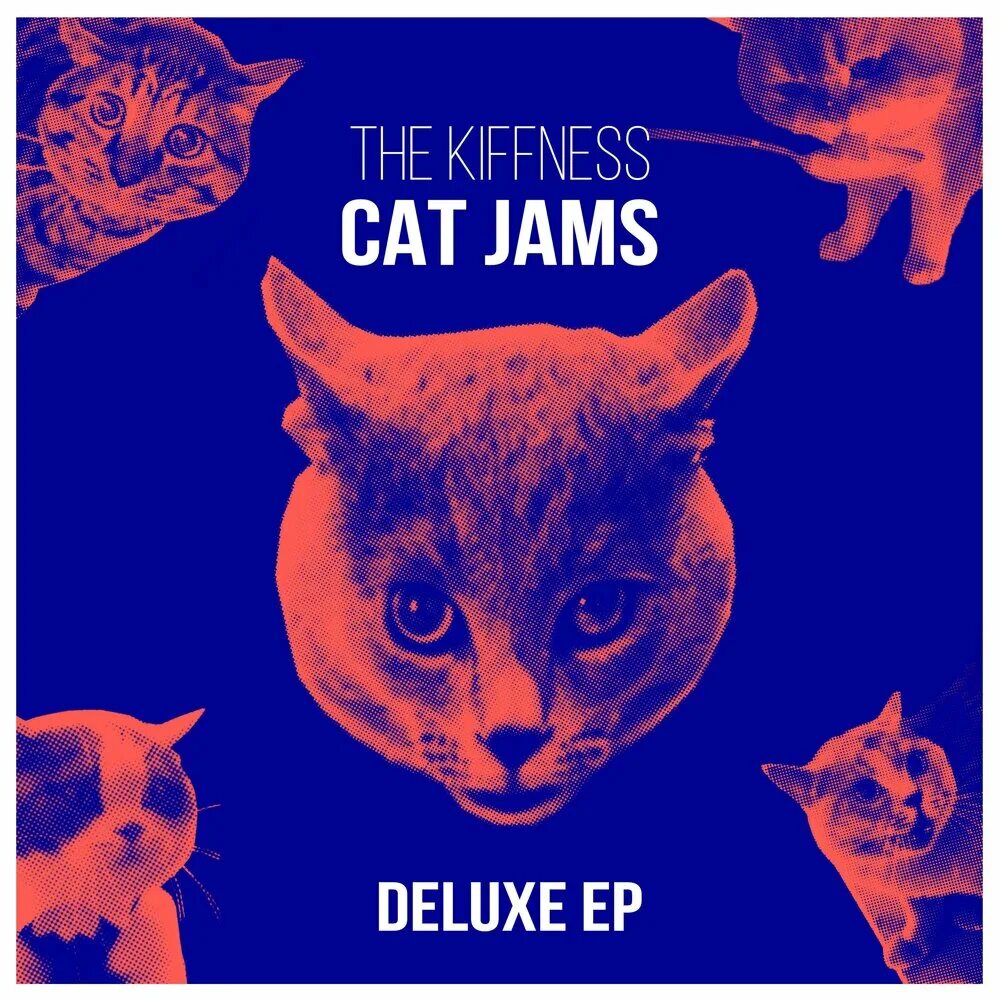 Кэтс песня. The Kiffness Cat Jams. Alugalug Cat. The Kiffness alugalug Cat обложка. Исполнитель: the Kiffness.