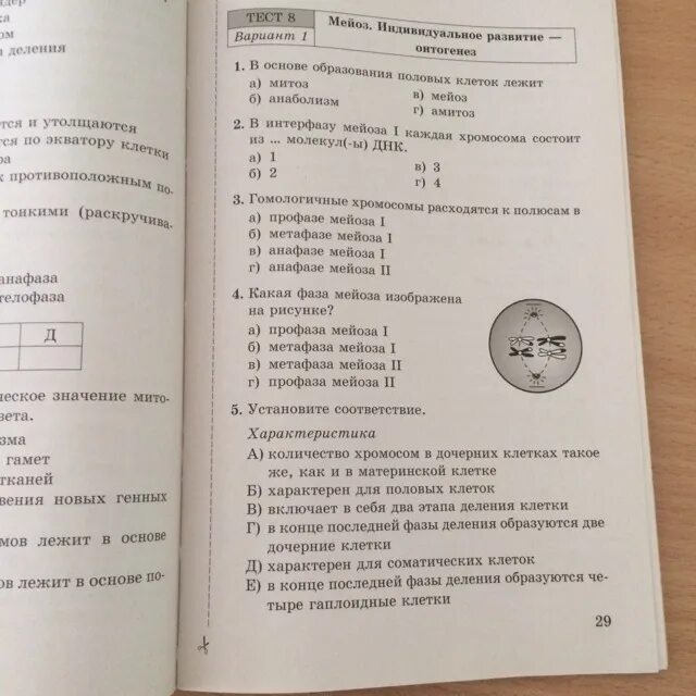 Test 9 6