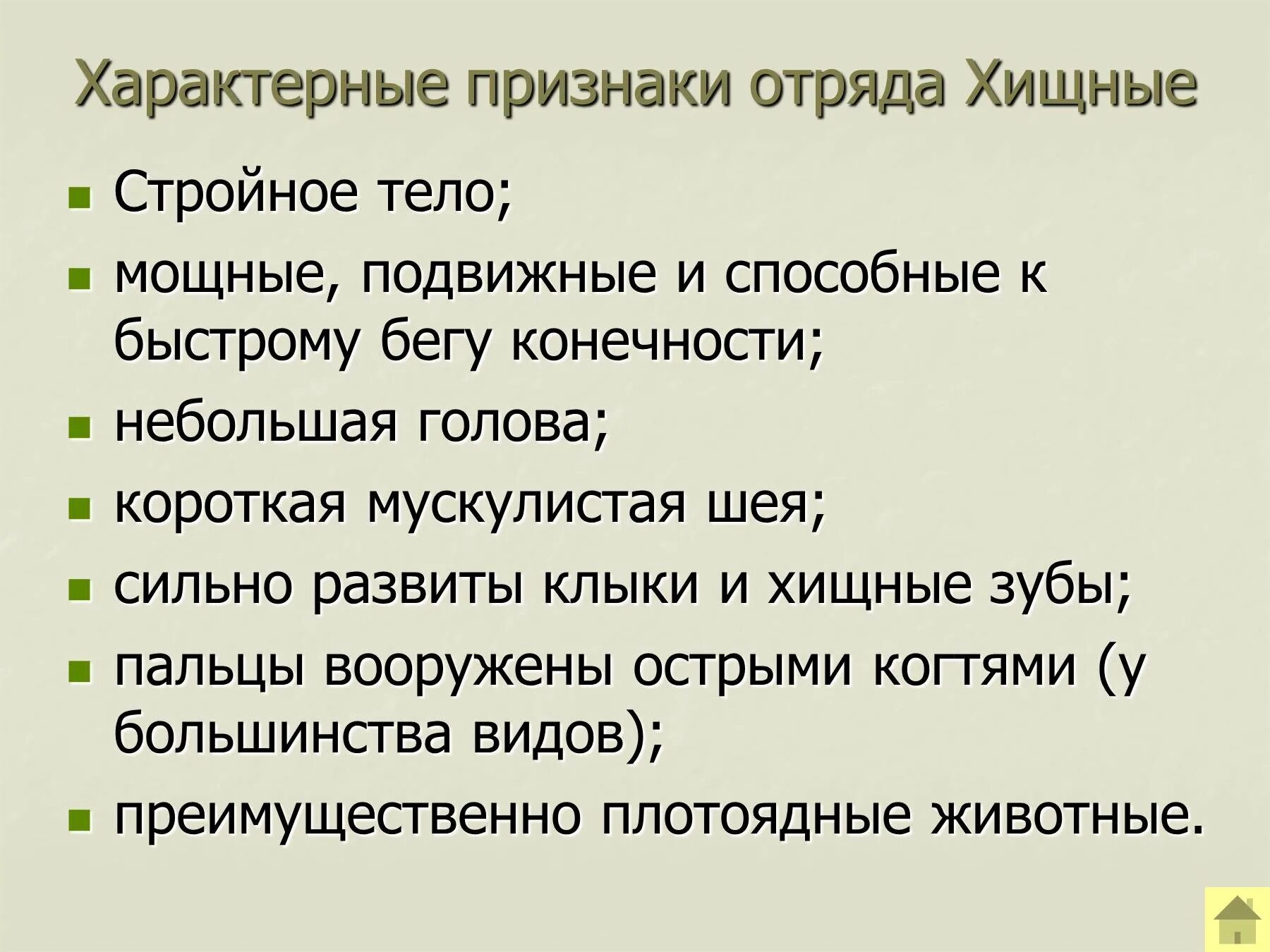 Характерные признаки отряда Хищные. Признаки отряда Хищные 7 класс. Отряд Хищные общая характеристика. Характерные признаки хищных млекопитающих. Характерные признаки сохранения