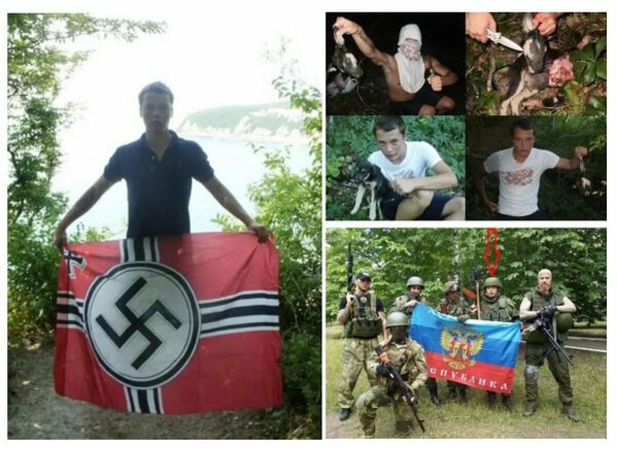 Подполяка. Подполяка