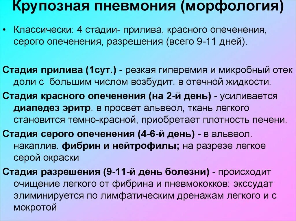 Стдаии крпозной пневмони э. Стадии крупозной пневмонии. Фазы крупозной пневмонии. Этапы крупозной пневмонии.