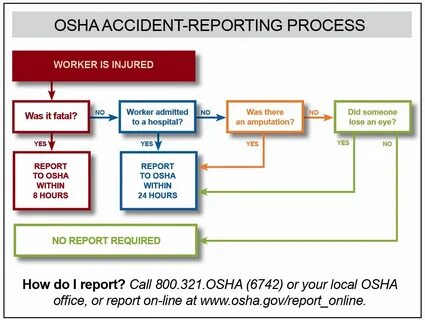 Reports processed