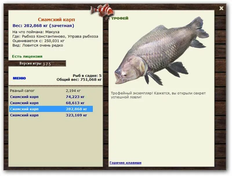 русская рыбалка 3 7 6 рыбхоз константиново сиамский карп. где можно поймать карпа. рыбхоз константиново. 1. рыбхоз константиново.