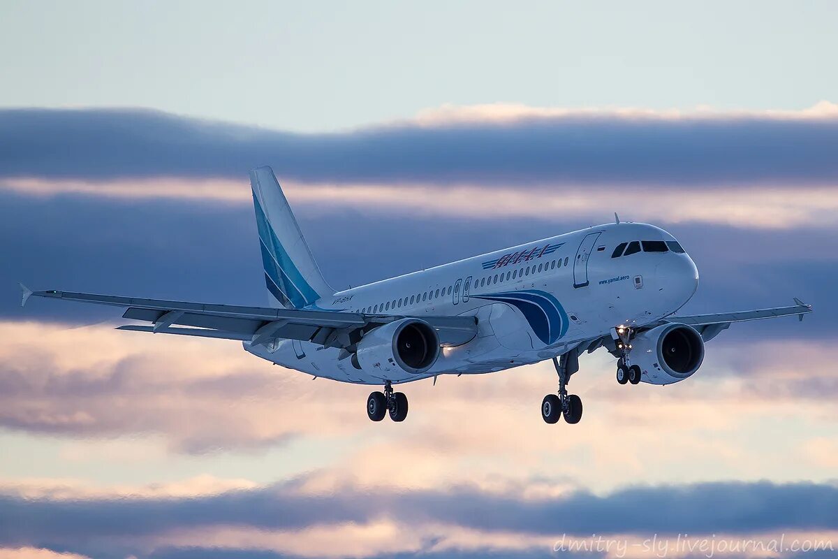 Airbus a320 ямал. самолет боинг 737 ямал. самолёт суперджет 100 авиакомпании ямал. Airbus-320 авиакомпании «ямал». сухой суперджет 100 95 ямал авиалинии.