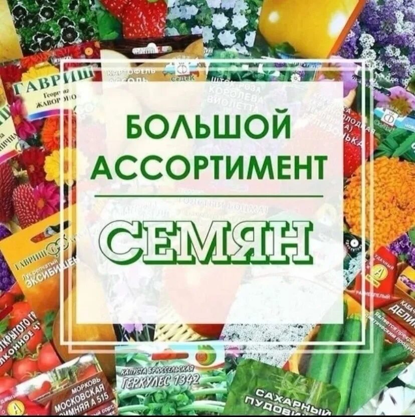 Огромный ассортимент семян. Реклама магазина семян. Семена баннер. Семена в ассортименте. Сайт семена оптом