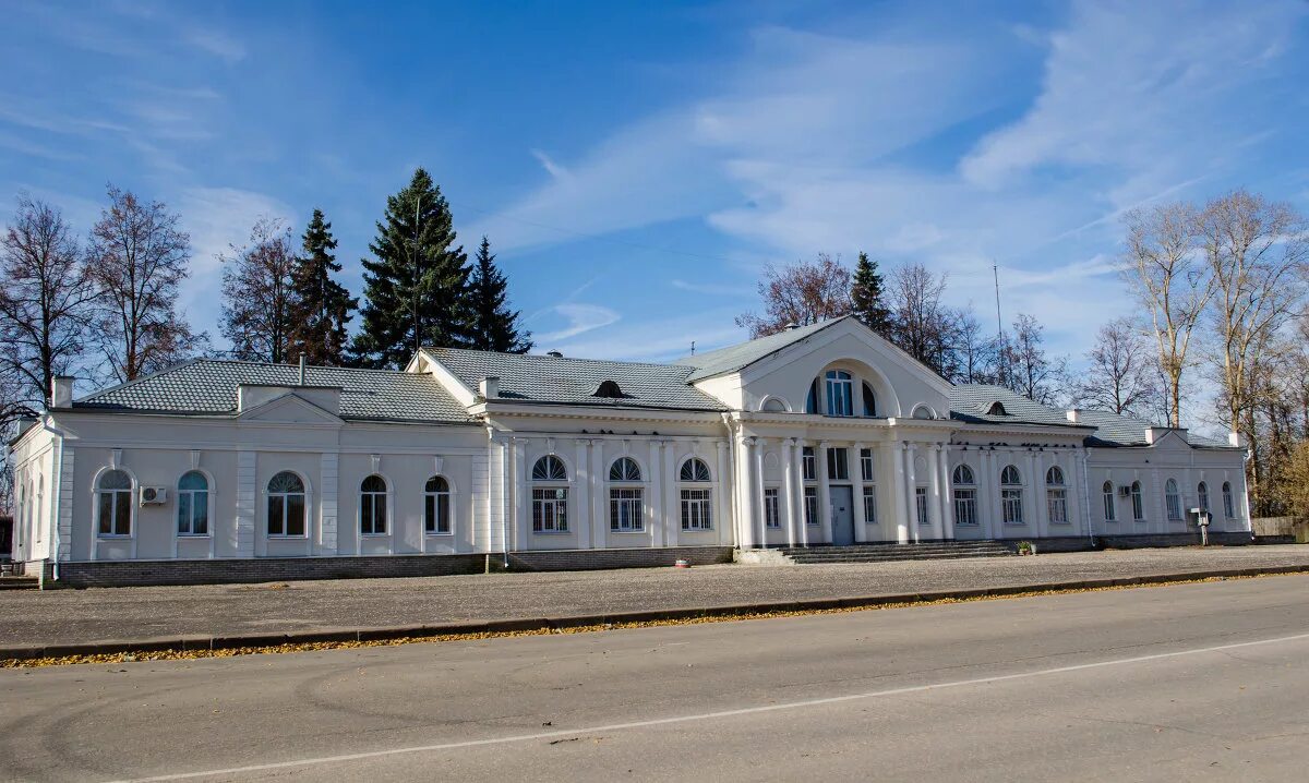 Гусь хрустальный архитектура. Станция гусь хрустальный хрусталь. Прогноз гусь хрустальный. Гусь-хрустальный владимирская область. Территория гусь хрустального района.