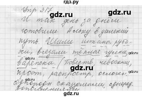 Русский 6 класс упражнение 317