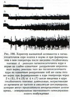 Вызванная активность