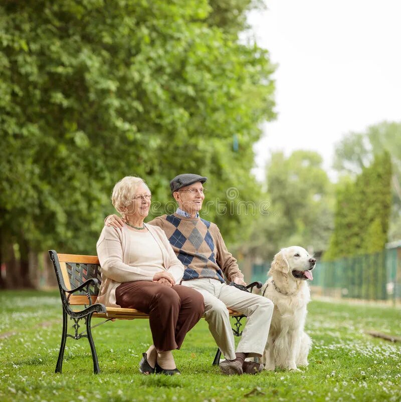 Дедушка с собакой иллюстрация. Бабка с собачкой. Собачка на прогулке. Пожилой человек с собакой. Пожилые люди и домашние животные.