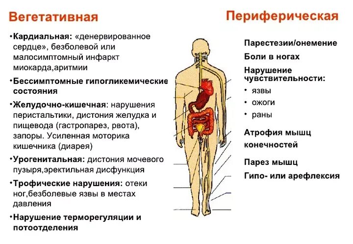 Идиопатическая периферическая невропатия. Периферическая полинейропатия симптомы. Периферическая нейропатия признаки. Периферическая Центральная нейропатия симптомы. Диабетическая периферическая нейропатия.