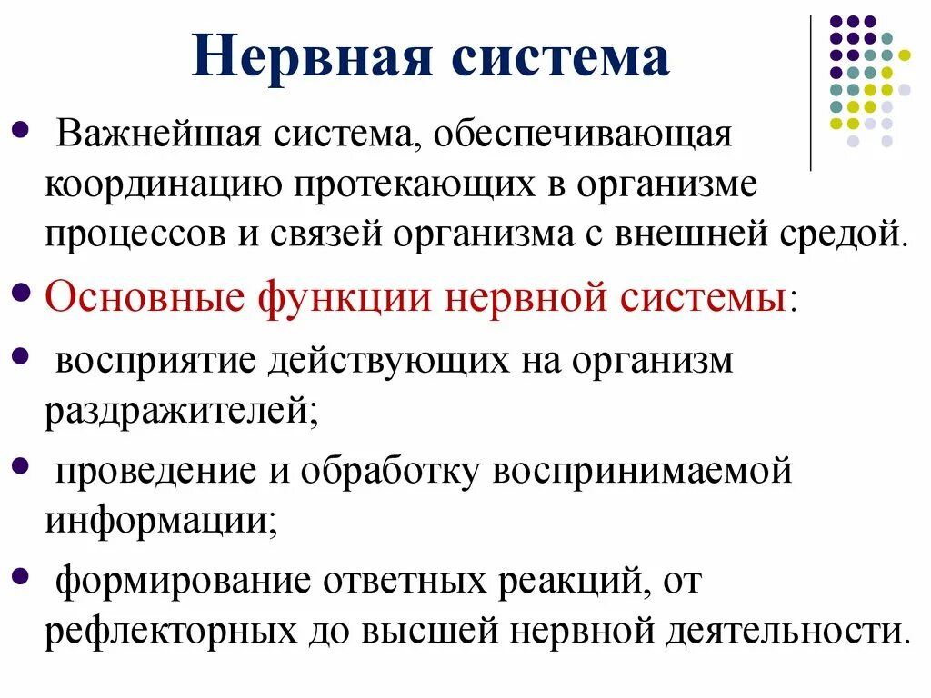 Перечислите основные функции нервной системы. Нервная система выполняет функции. Функции нервной системы животных кратко. Какую функцию выполняет нервная система в организме животных?.