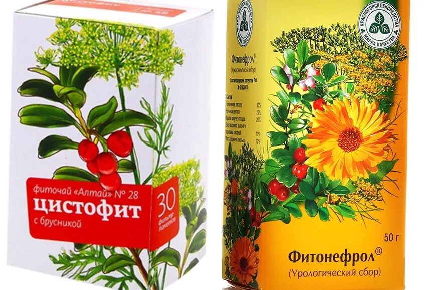 Какие травы можно пить при цистите. Травы от цистита. травяной чай при цистите. травяной сбор от цистита. чай от цистита.