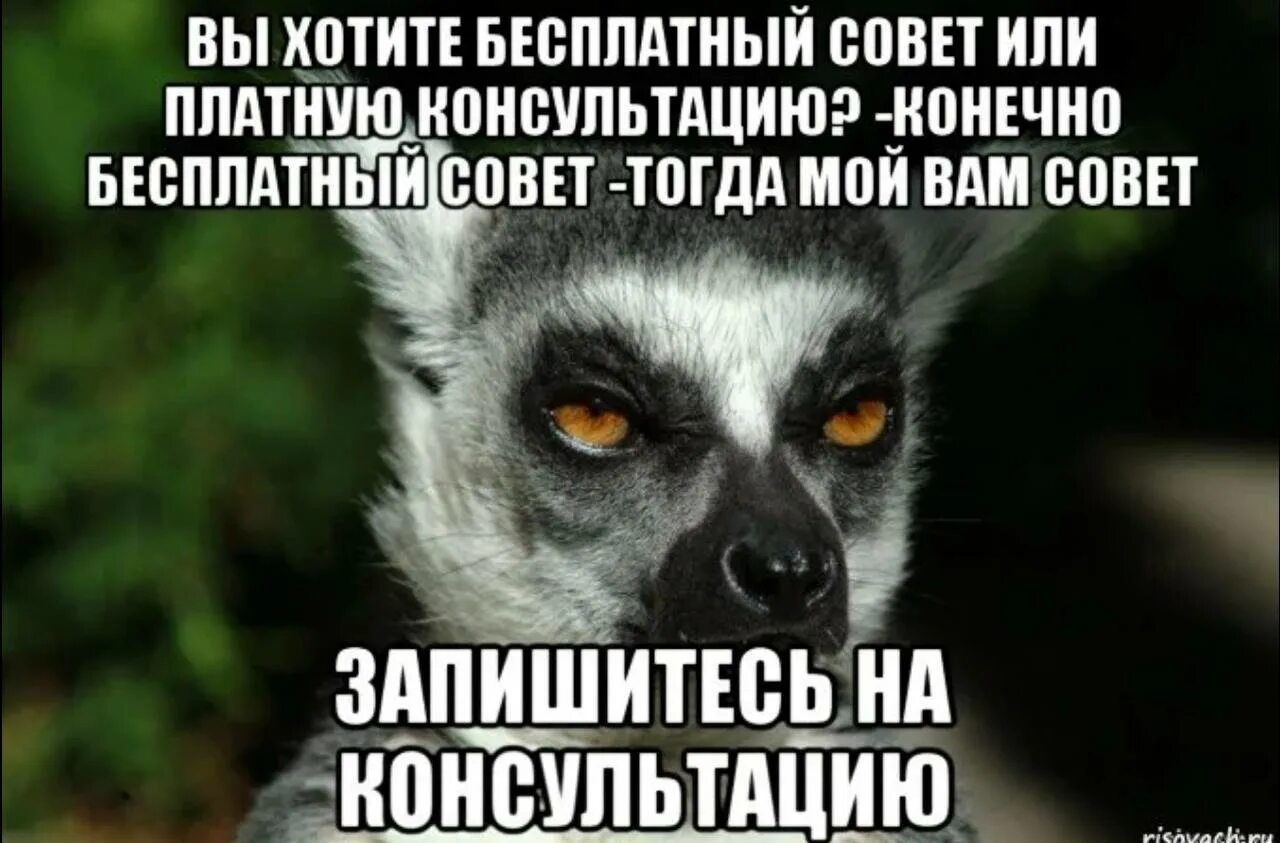 Хочу посоветуйте. Вам совет или консультацию. Совет или консультация. Совет Запишись на консультацию. Бесплатный совет.