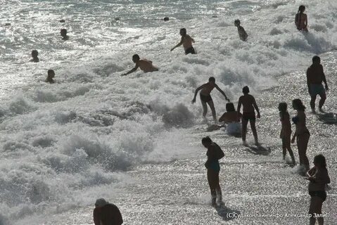 Вода в море севастополь сегодня температура