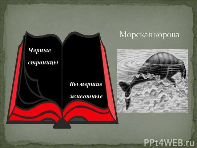 Почему черная страница. Черные страницы красной книги. Чёрная книга животных России. Чёрные страницы красной книги животные. Красная книга и черная книга.