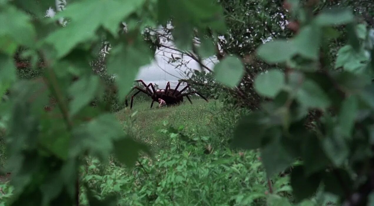 Пауки атакуют. The giant Spider Invasion 1975.