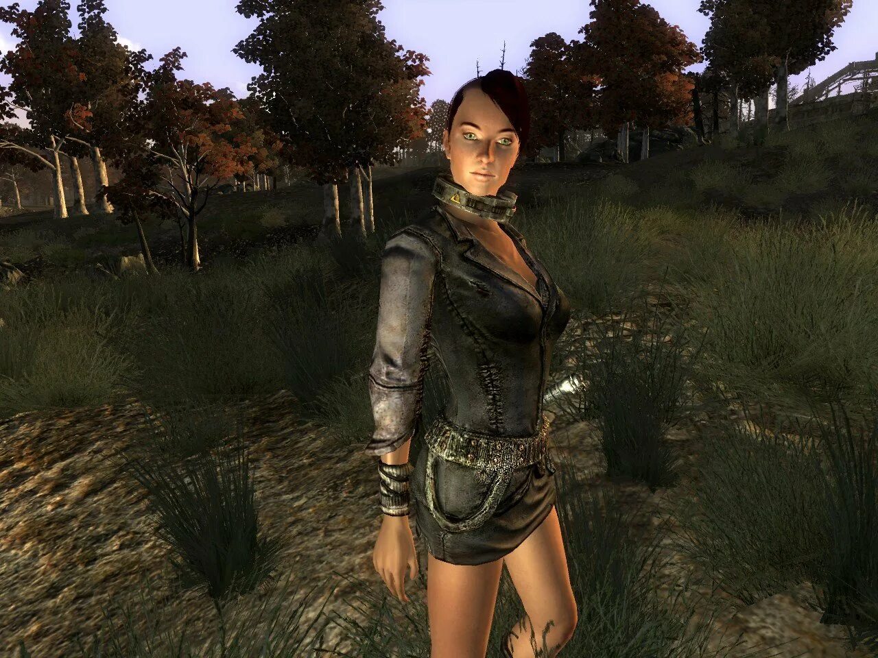 Фоллаут 3 мод компаньоны. Фоллаут 3 мод компаньонка. fallout new vegas моды компаньон леди димитреску. fallout 3 кловер мод. фоллаут 3 моды.