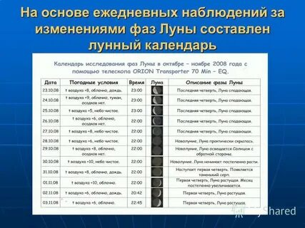 Дата ежедневно