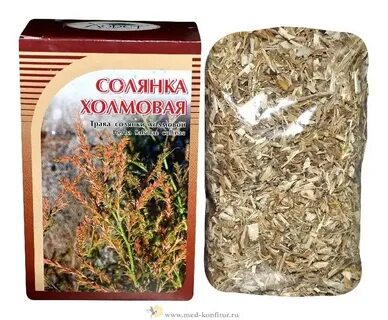 Трава солянки холмовой отзывы