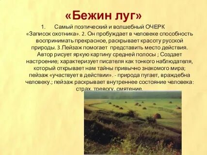 План пейзажа бежин луг