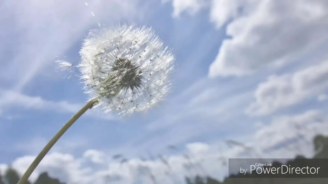 Сегодня легкий день
