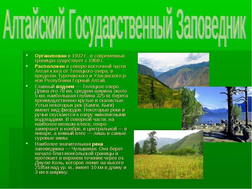 Сообщение о заповеднике. Заповедники России доклад. CJJ,otybt j pfgjdtlybrf[ b yfwbjyfkmys[ gfhrf[. Доклад о заповеднике.