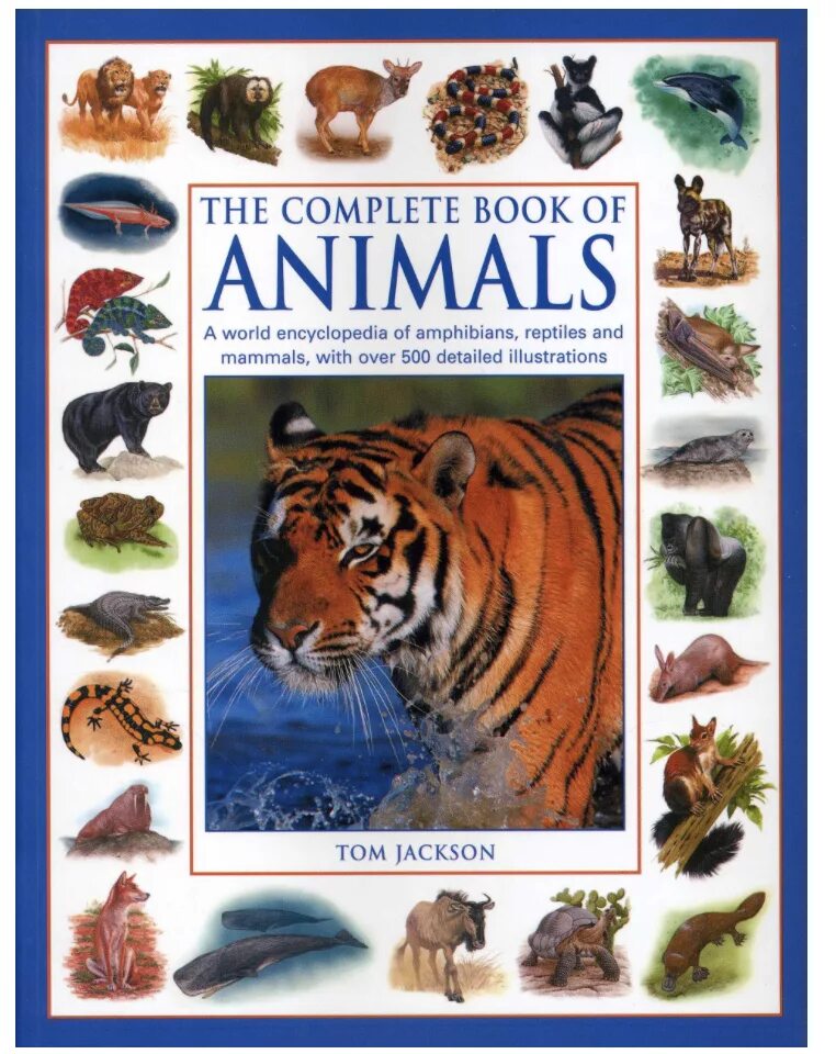 Книга animals animals