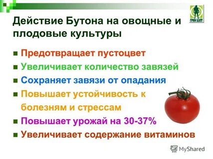 Программа на грине