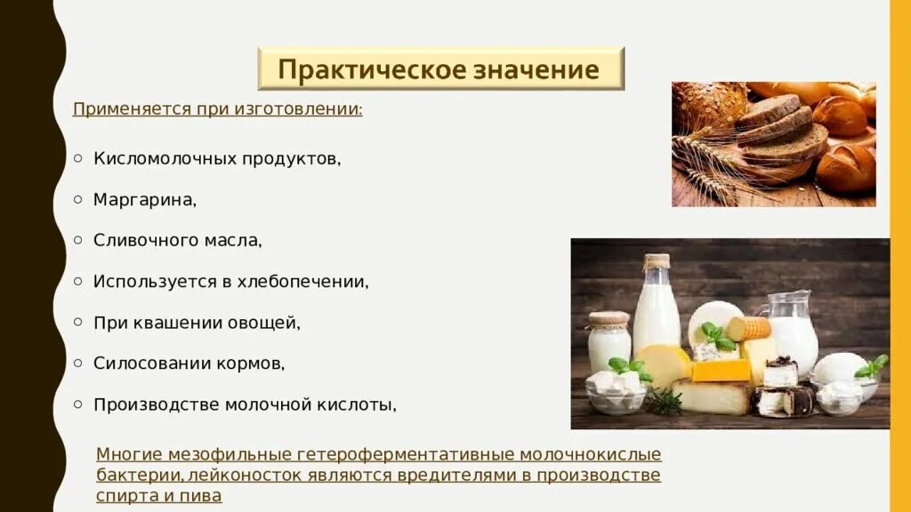 Продукты брожения. Бактерии в производстве кисломолочных продуктов. Брожение в пищевой промышленности. Использование микробов в производстве кисломолочных продуктов. Дрожжи используются человеком для производства кисломолочных