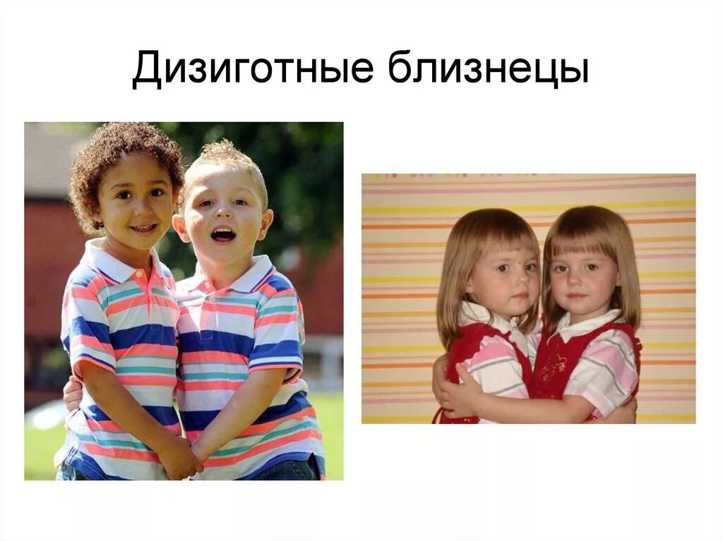 Босс в наказание двойня в подарок читать. Однояйцевые (монозиготные) Близнецы. Разнояйцевые (дизиготные) Близнецы. Монозиготные и дизиготные Близнецы. Двуяйцевые дизиготные Близнецы.