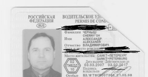 Фамилия черныш
