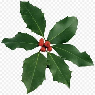 Christmas leaves