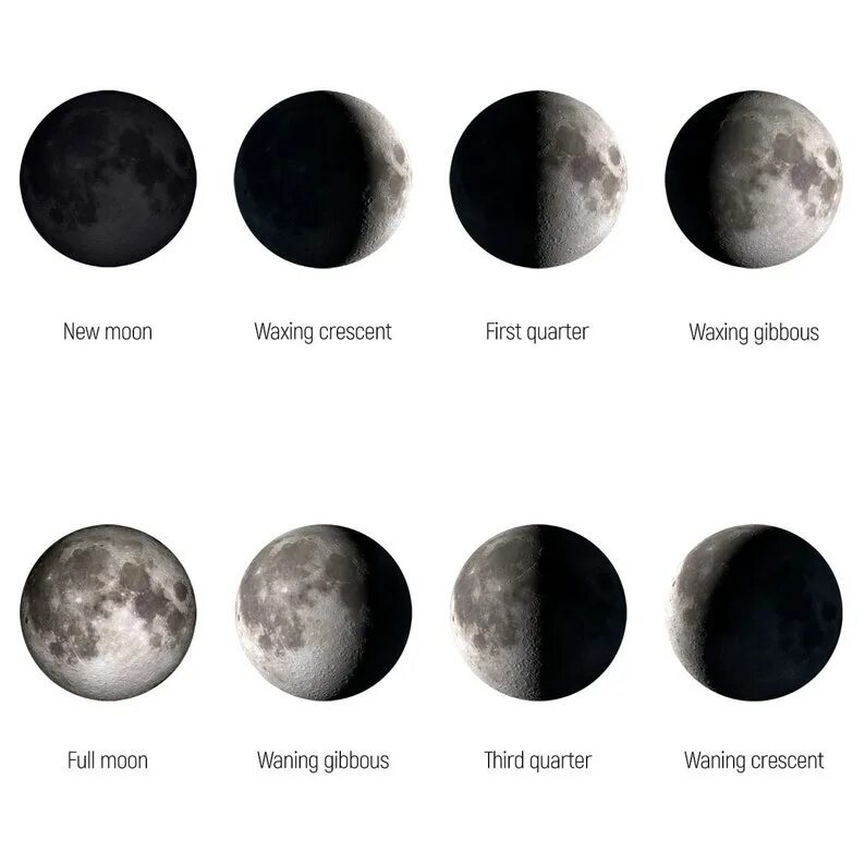 Смена лунных фаз. 08. Фаза луны в севастополе. Последняя четверть луны астрономия. Фаза луны в севастополе.