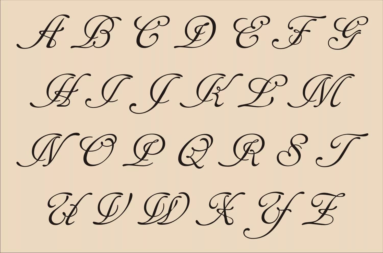 Класс Оформления Latin