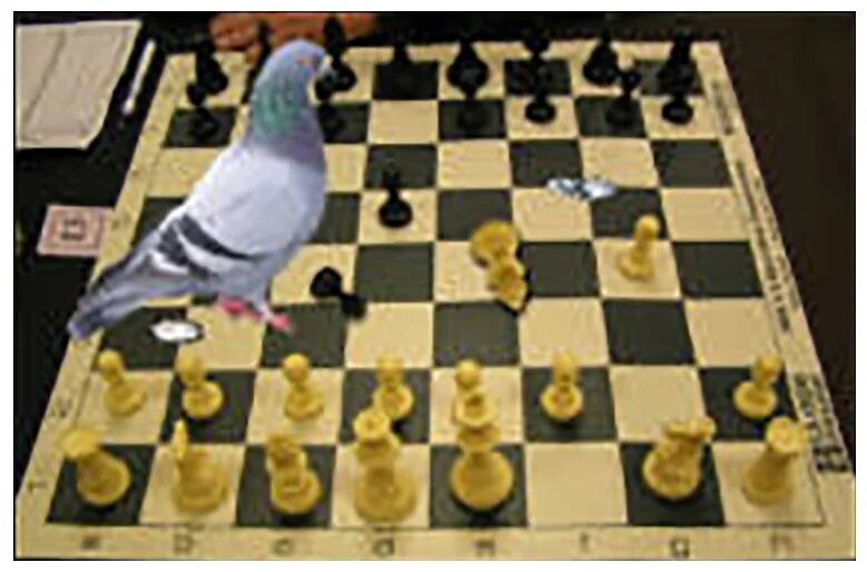 You like playing chess