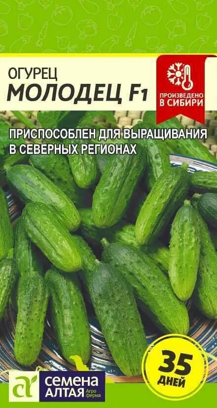 Огурец молодец f1 8шт. Молодец f1. Огурец шустрец-молодец f1. Молодец f1. Сорт огурцов молодец f1.