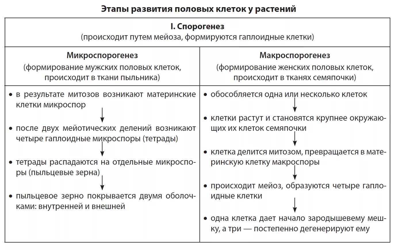 Таблица стадии развития половых клеток. Этапы развития половых клеток у растений таблица. Этапы развития половых клеток у растений. Этапы формирования половых клеток у растений. Макроспора образуется в результате