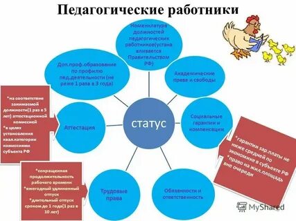 Понятие и виды педагогических работников