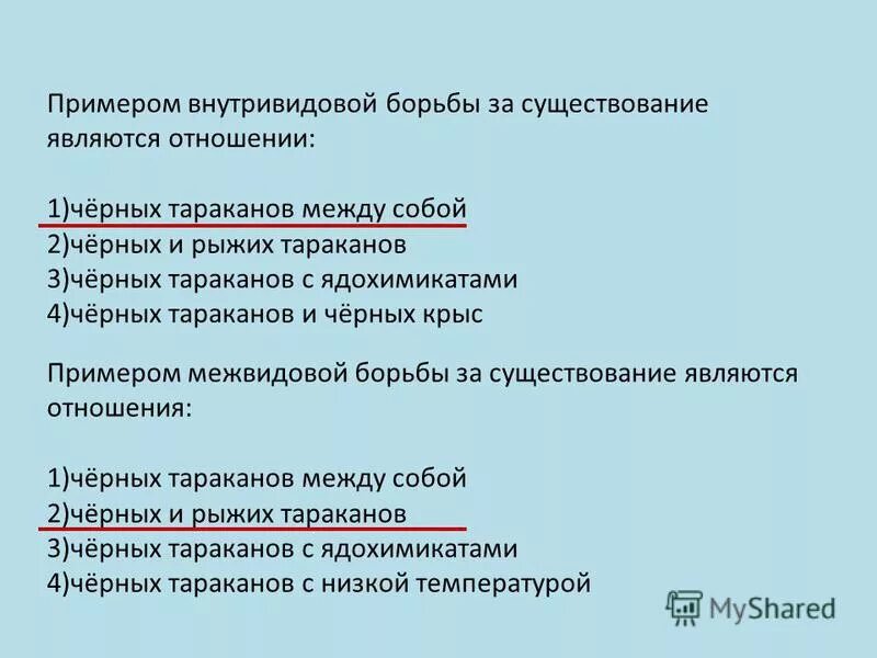 Существование являться. Примером внутривидовой борьбы за существование являются. Примером внутривидовой борьбы за существование являются отношения.