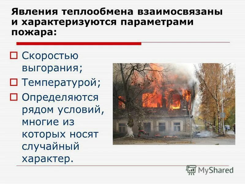 сильный низовой лесной пожар. скорость распространения низового пожара. со скоростью пожара. подземные почвенные пожары. низовой беглый лесной пожар.