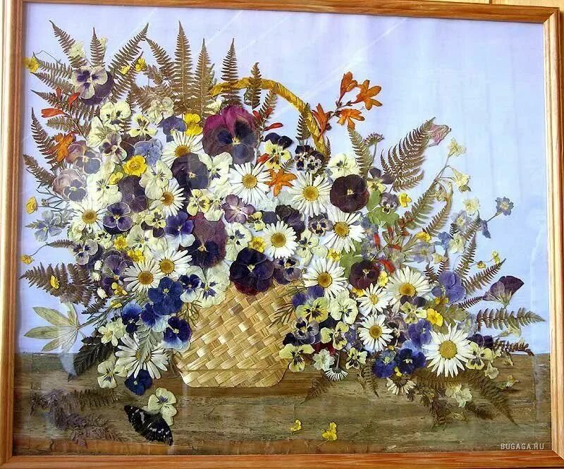 Создать картину. Ошибана Павлин. Л.Белецкая креативные картины из природных материалов. Панно из сухоцветов. Панно из засушенных растений.