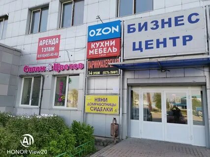 Профессиональная 22