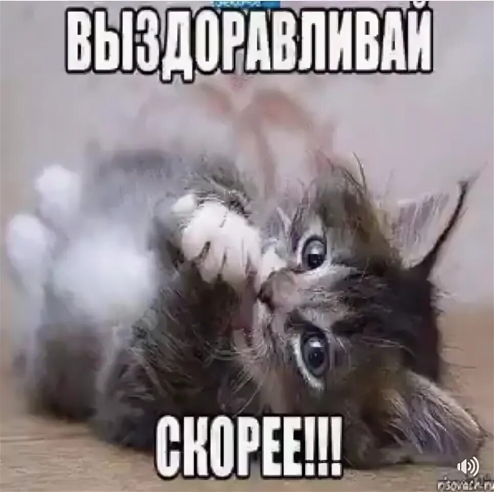 Надпись не болей. Пикча выздоравливай. Выздоравливай брат. Выздоравливай картинки. Открытка не болей.